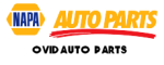 NAPA Auto Parts